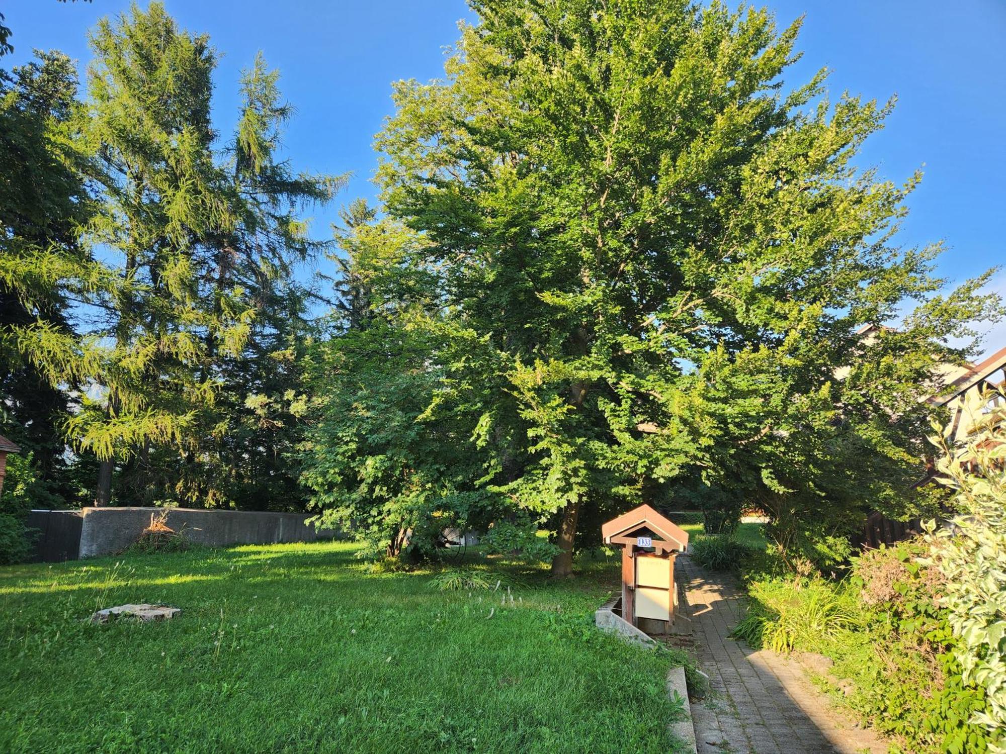 Appartement T3 Avec Jardin Proche Village Saint-Bonnet-en-Champsaur Bagian luar foto