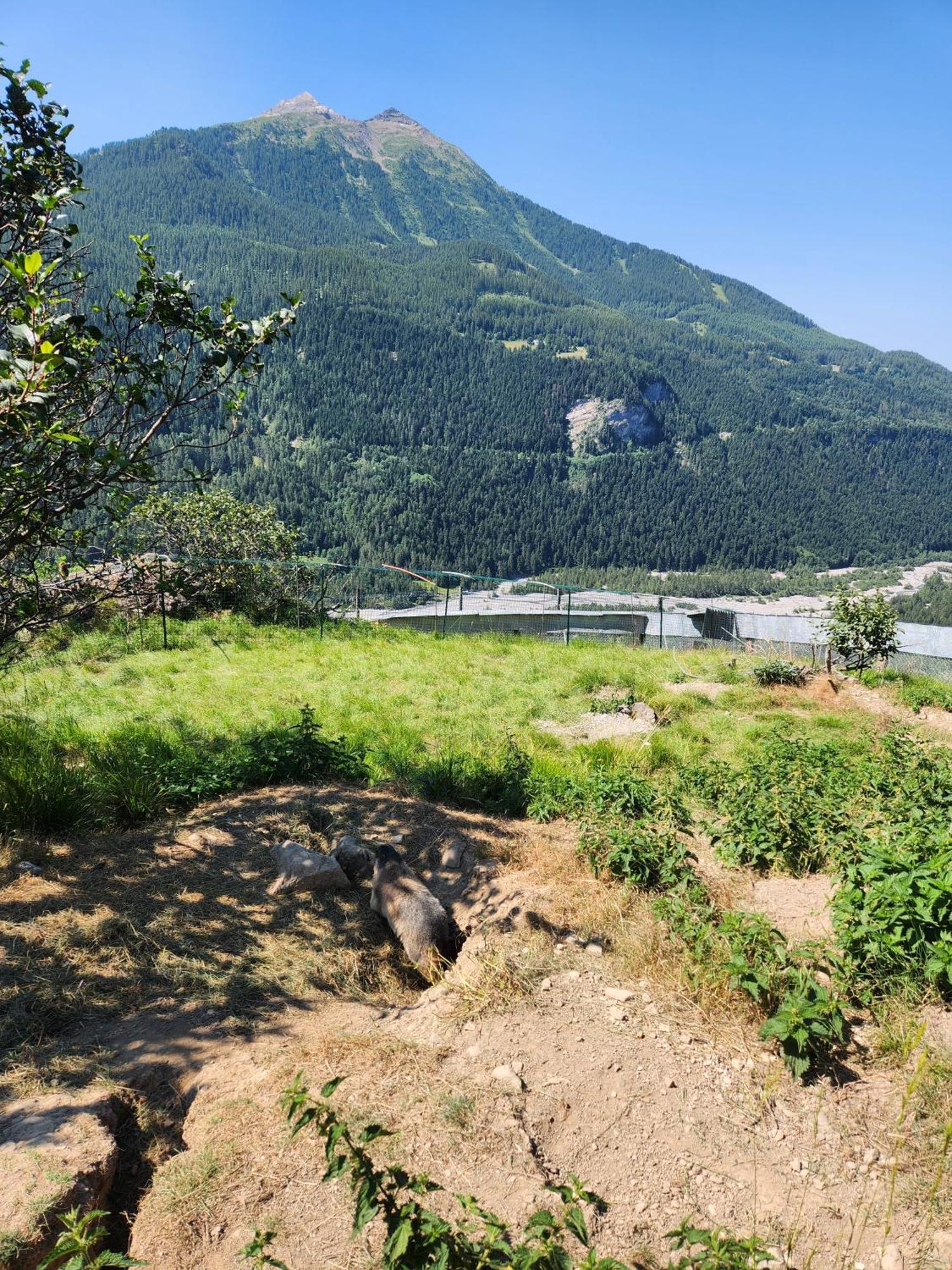 Appartement T3 Avec Jardin Proche Village Saint-Bonnet-en-Champsaur Bagian luar foto